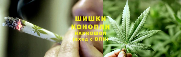 соль ск Алексин