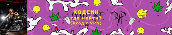 соль ск Алзамай