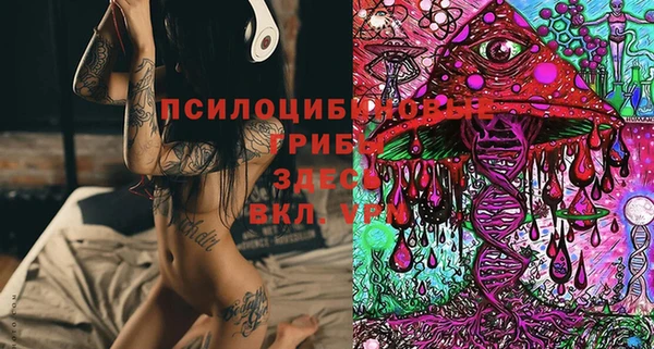 соль ск Алзамай
