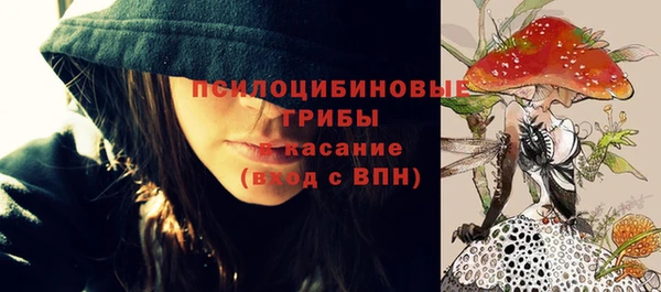 spice Алексеевка