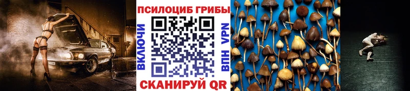Галлюциногенные грибы ЛСД  Углич 