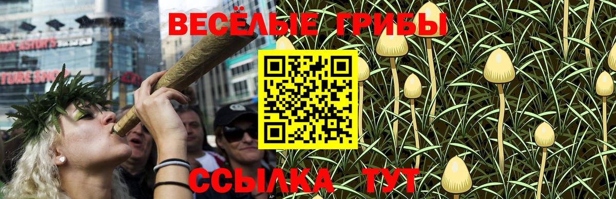 Углич  Галлюциногенные грибы Psilocybine cubensis  закладка  Вход с VPN 